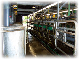 Cleaning a milking parlour