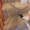 Carpet cleaning