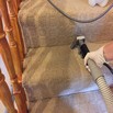 Carpet cleaning