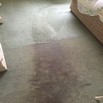 Carpet cleaning