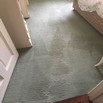 Carpet cleaning