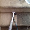 Carpet cleaning