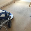 Carpet cleaning