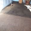 Carpet cleaning