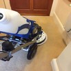 Carpet cleaning