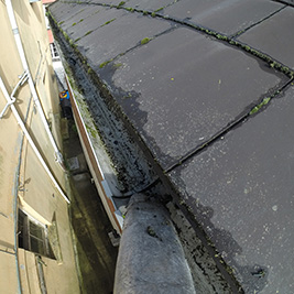 Gutter Cleaning