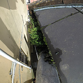 Gutter Cleaning