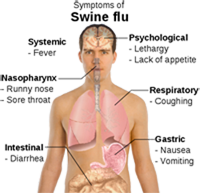 swine flu prevention